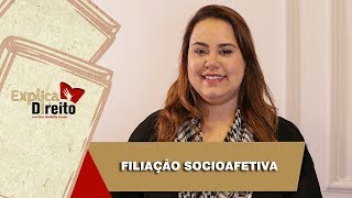 Explica Direito Filiação Socioafetiva  2019 [upl. by Reyam937]